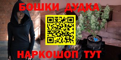 СК Шахты
