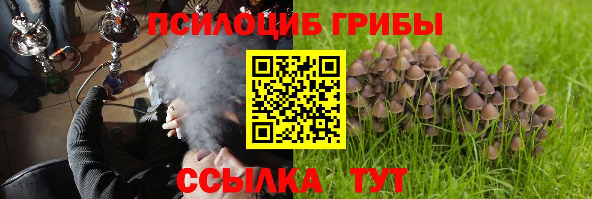 Галлюциногенные грибы мицелий  Псилоцибиновые грибы Psilocybe  хочу наркоту  Звенигород  Вход с VPN 